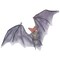 The Costume Center 48&#x22; Black and Gray Light Up Demon Bat Halloween Prop